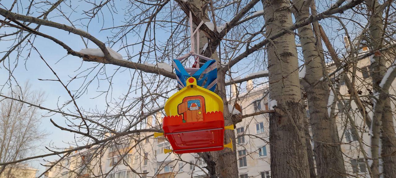 Станция юннатов подвела итоги акции «Покормите птиц зимой»