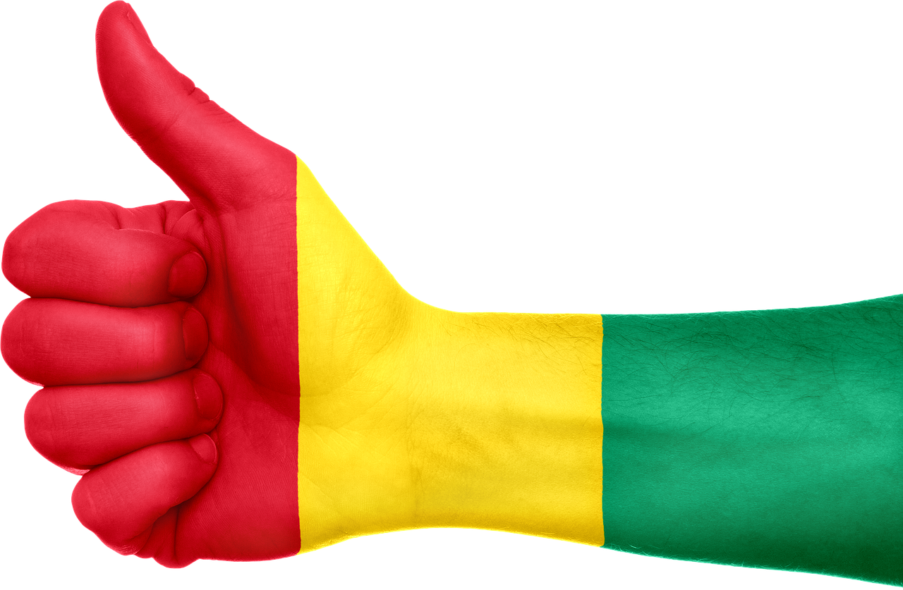 В Краснотурьинске скоро будут учиться студенты из Гвинеи