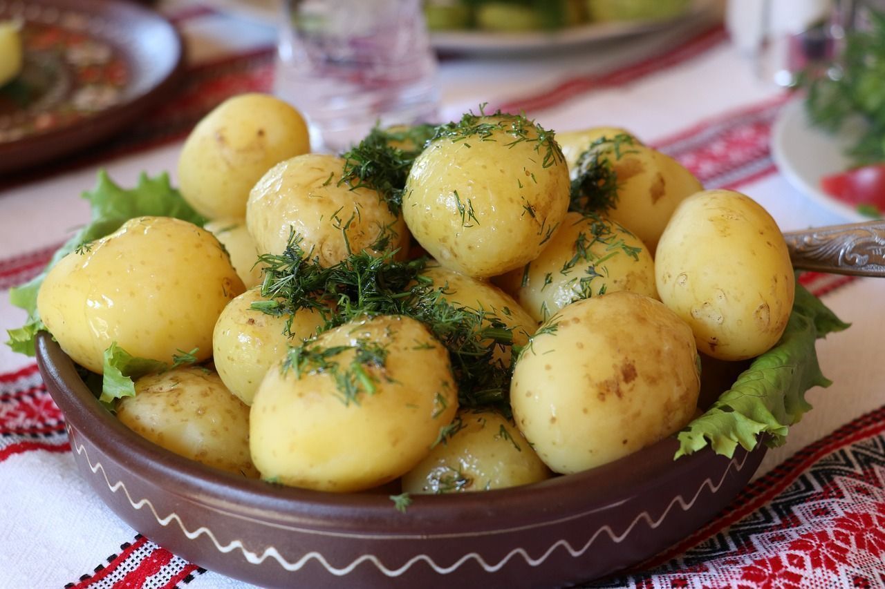 Для варки или жарки: как правильно выбрать качественный картофель