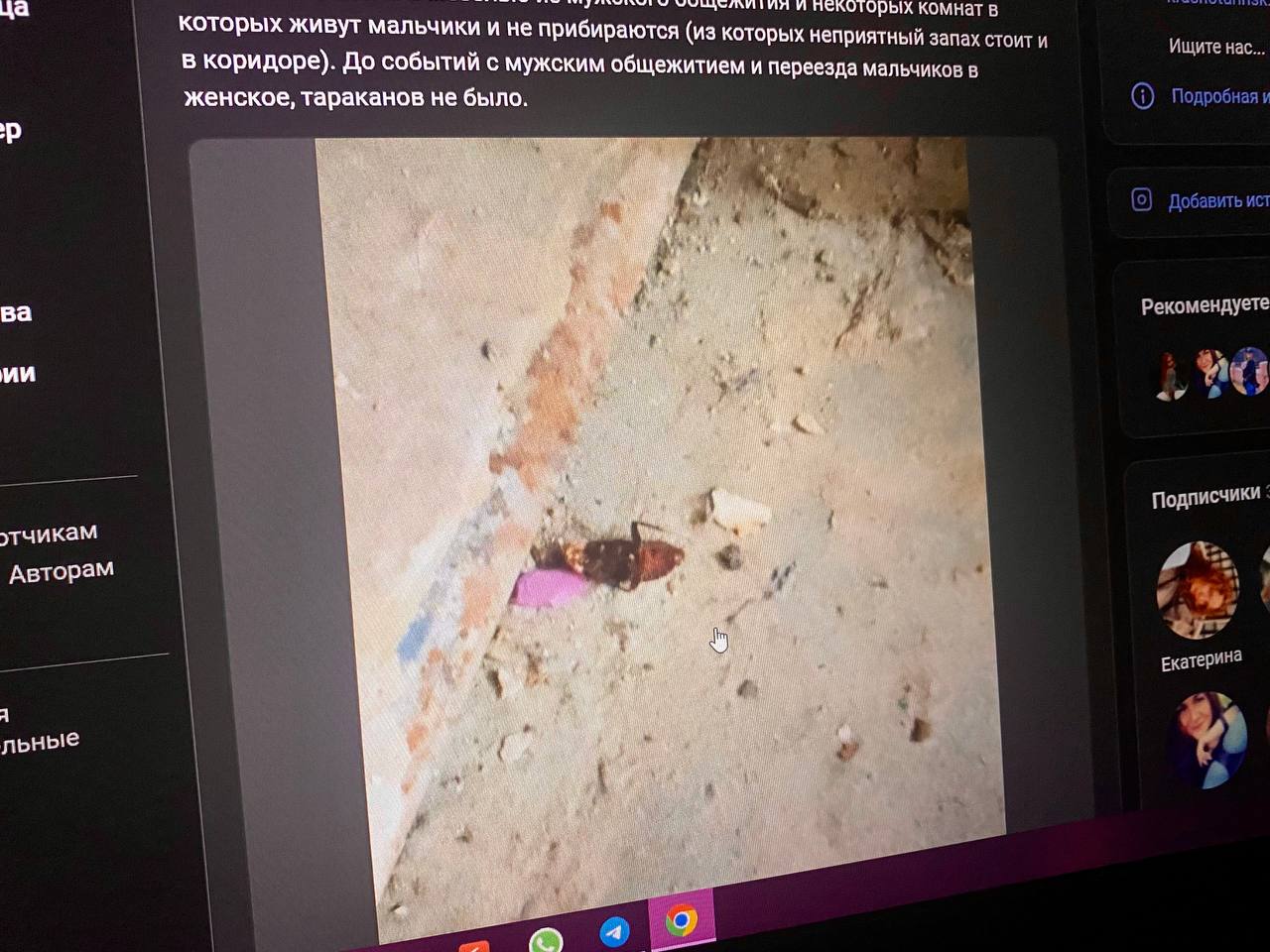 Студентка КИКа пожаловалась на тараканов в женском общежитии