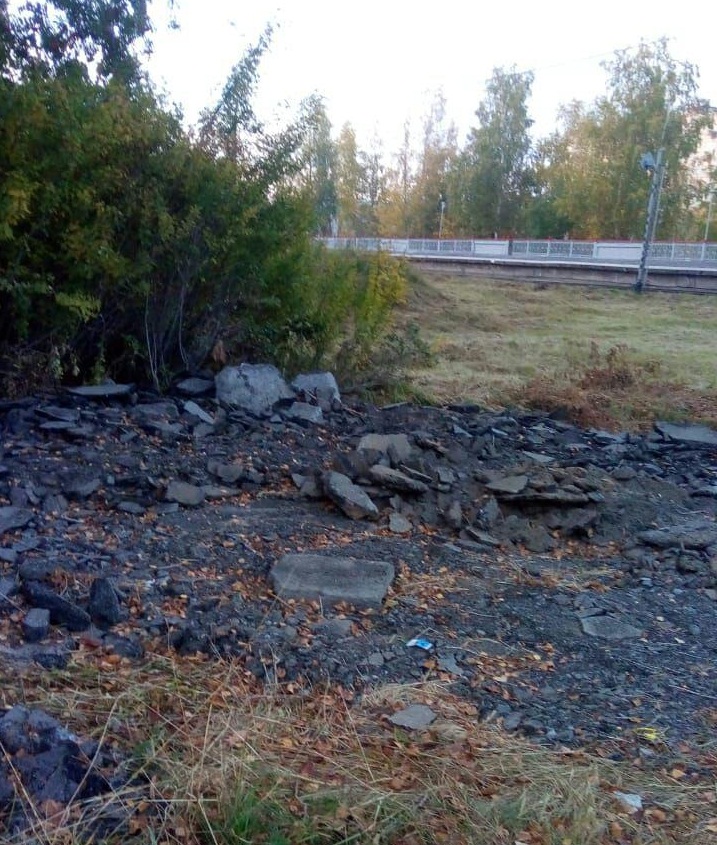 Железнодорожники выкинули старый асфальт в ближайший лес. Обещают убрать