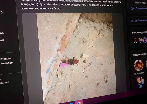 Студентка КИКа пожаловалась на тараканов в женском общежитии