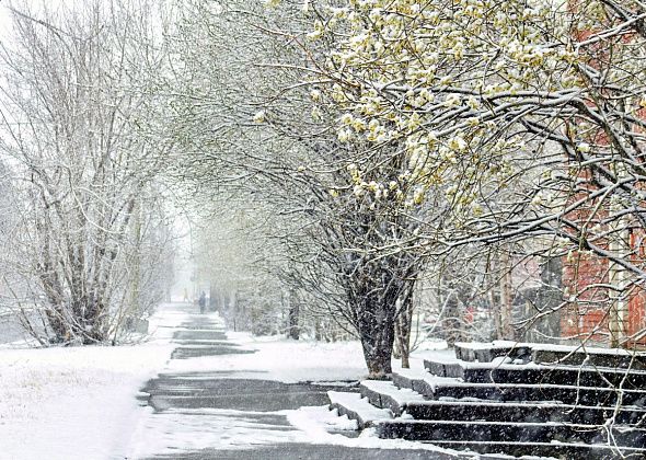 МЧС: "На территории Свердловской области ожидается сильный снег"