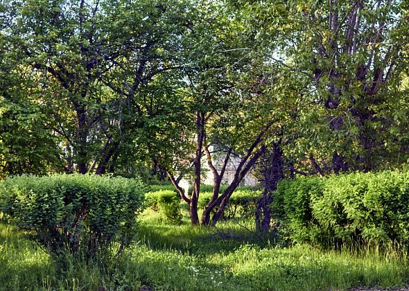 Благоустройство парка на Медной Шахте обойдется дороже 100 миллионов рублей