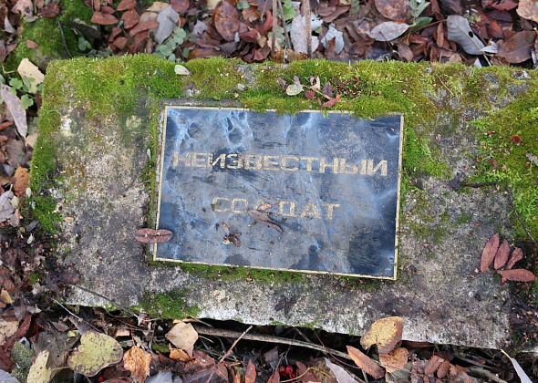 Сотрудники краеведческого музея ищут информацию о могиле незвестного солдата на кладбище Медном
