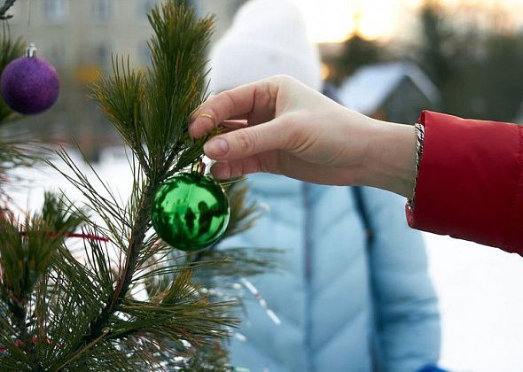 Более 100 юных краснотурьинцев отправятся на елки в Екатеринбург 