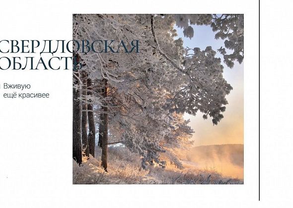 Турья попала на открытки из лимитированной серии Почты России