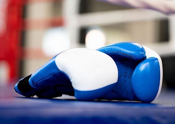 Шестеро краснотурьинских боксеров стали призерами турнира в Приобье