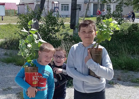 Юные читатели высадили деревья на Воронцовке 