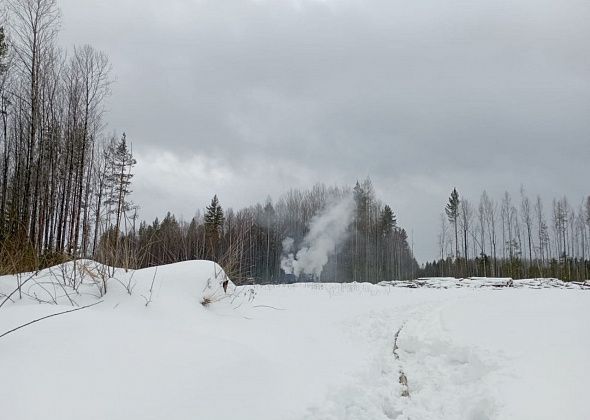В Краснотурьинске пожарные спасли человека из горящей постройки