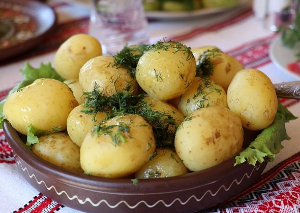 Для варки или жарки: как правильно выбрать качественный картофель