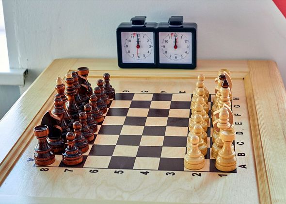 Педагоги провели турнир по шашкам и шахматам