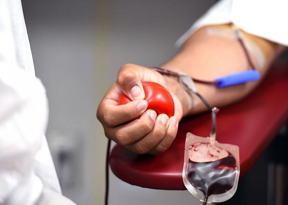 Сдаем кровь – спасаем жизни. Как стать донором крови и что для этого нужно?