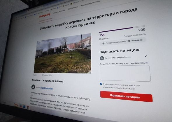Автор петиции о запрете вырубки деревьев в Краснотурьинске рассказала, почему создала обращение