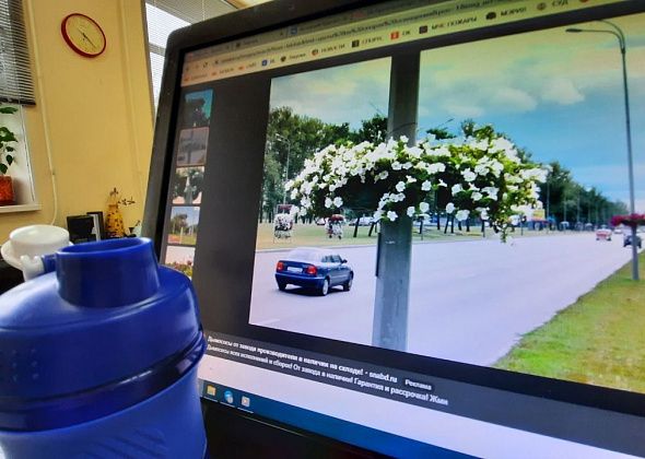 Власти Краснотурьинска рассказали подробности цветочного украшения улицы Попова