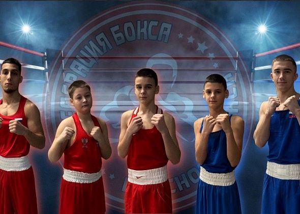 Краснотурьинские боксеры стали сильнейшими в Свердловской области