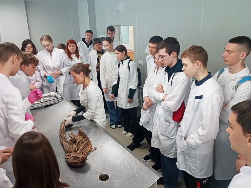 Школьники из Краснотурьинска и Карпинска побывали на экскурсии в медуниверситете