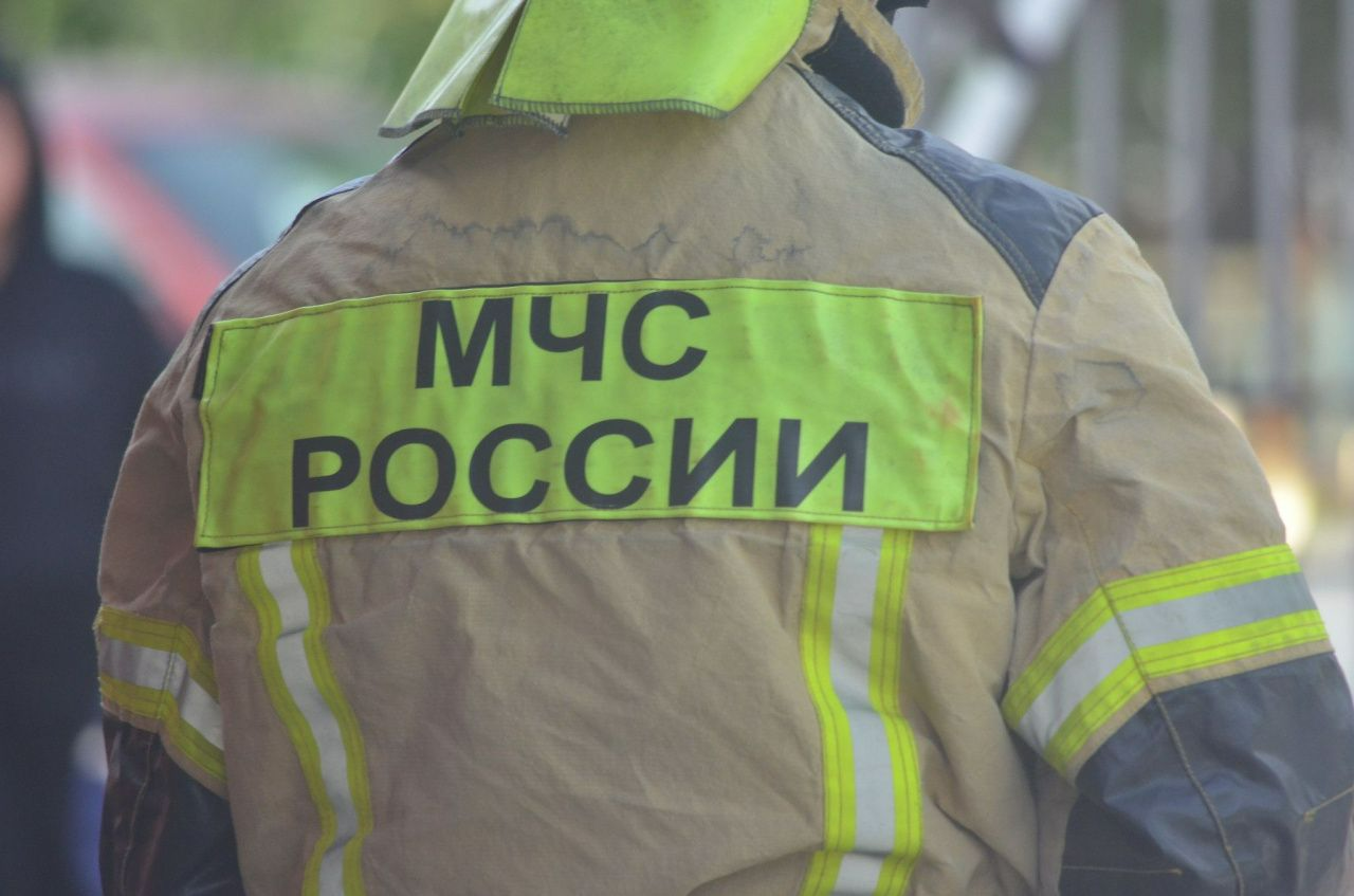 Какую работу предлагает центр занятости с 15 декабря 