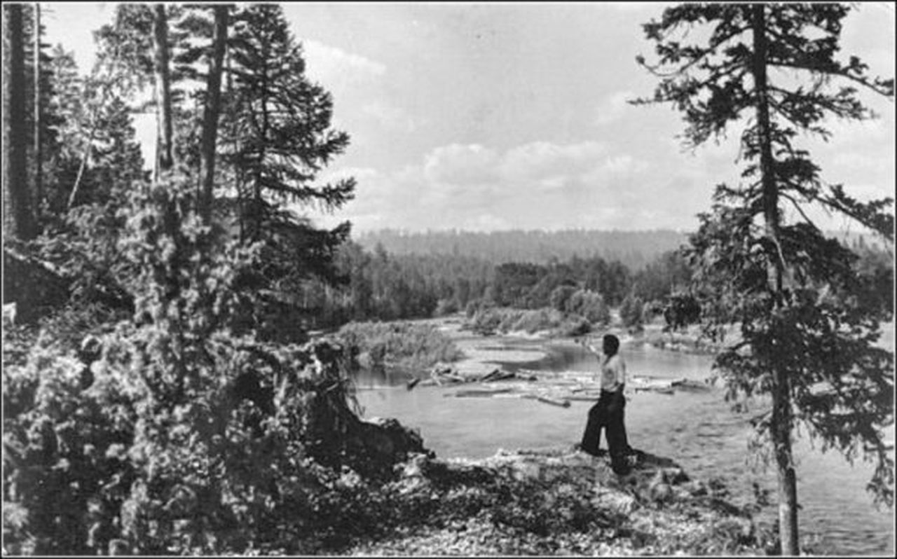 Блог. Александр Меркер: «Концерт в белую ночь»