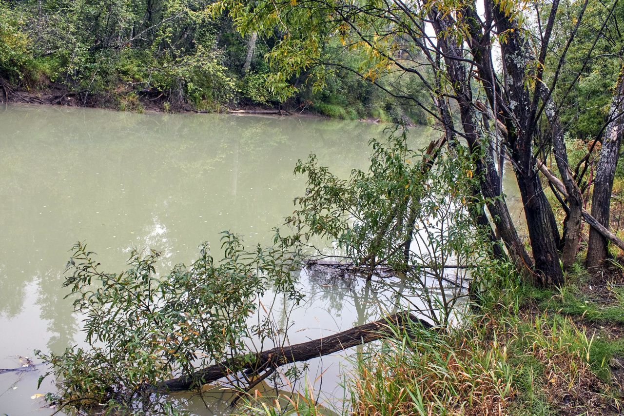 Александр Бастрыкин запросил доклад о расследовании дела о загрязнении рек на севере области