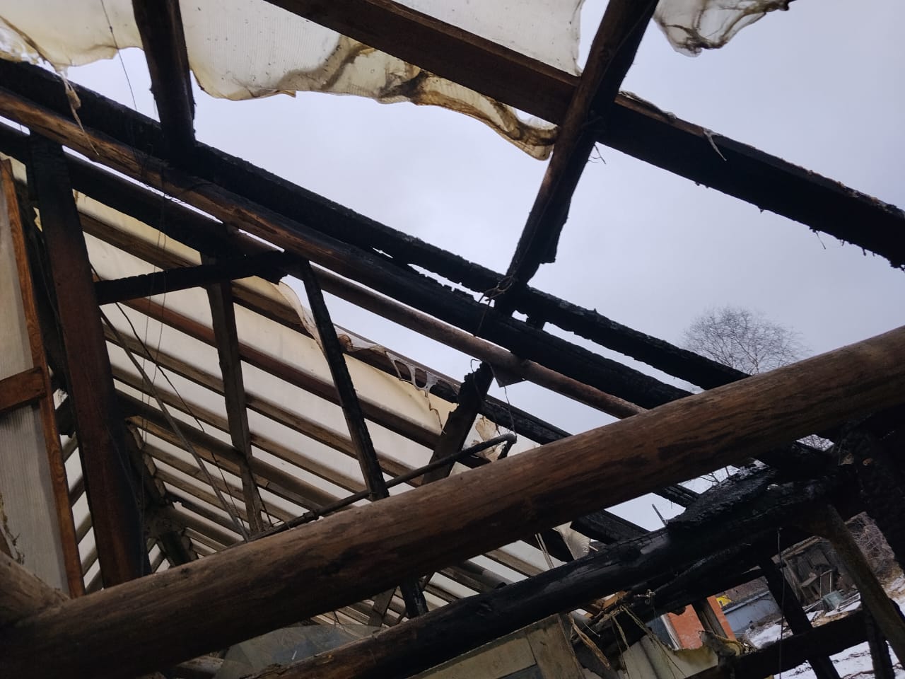 На Медном Руднике сгорела теплица