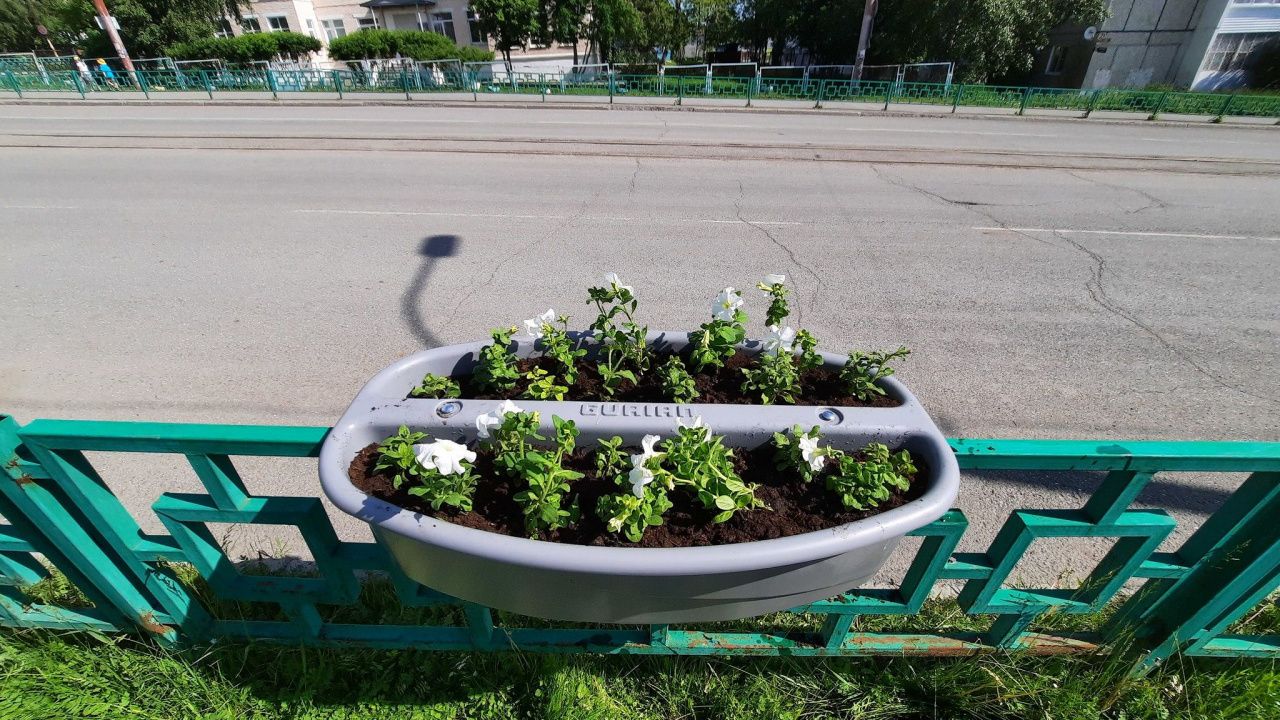 На заборах школ по улице Попова начали высаживать цветы