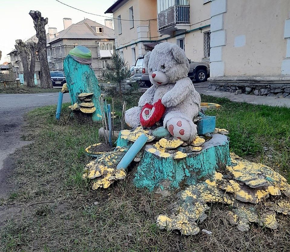 Уроженка Краснотурьинска 15 лет не была в родном городе: 