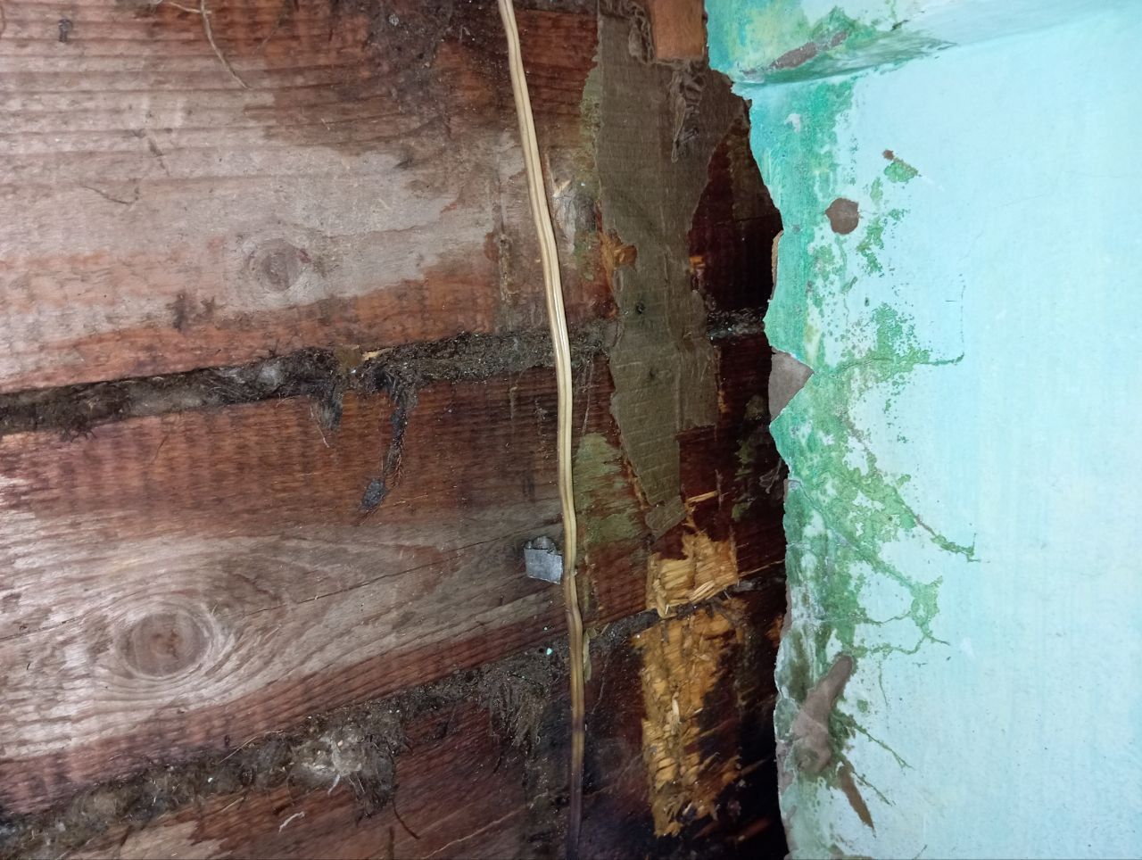 Пожарных вызвали в дом на Надеждинской. Там тлела стена