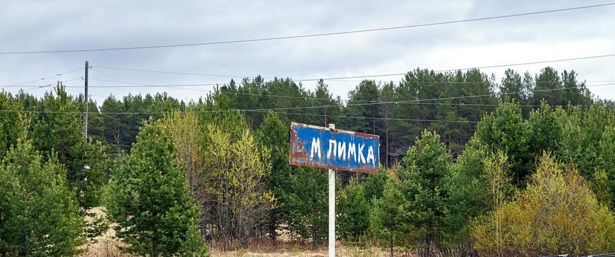 Перекроют движение через переезд на Малой Лимке