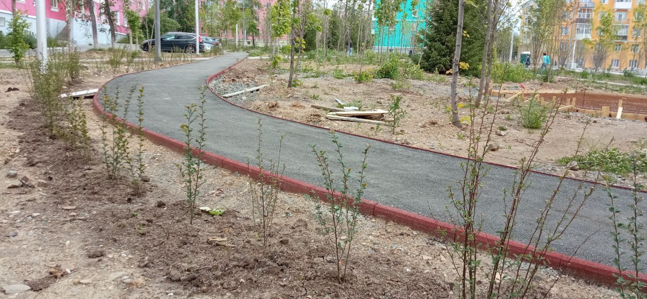 В парке Тихомирова начали высаживать кустарники. Всего высадят 1500 кустов