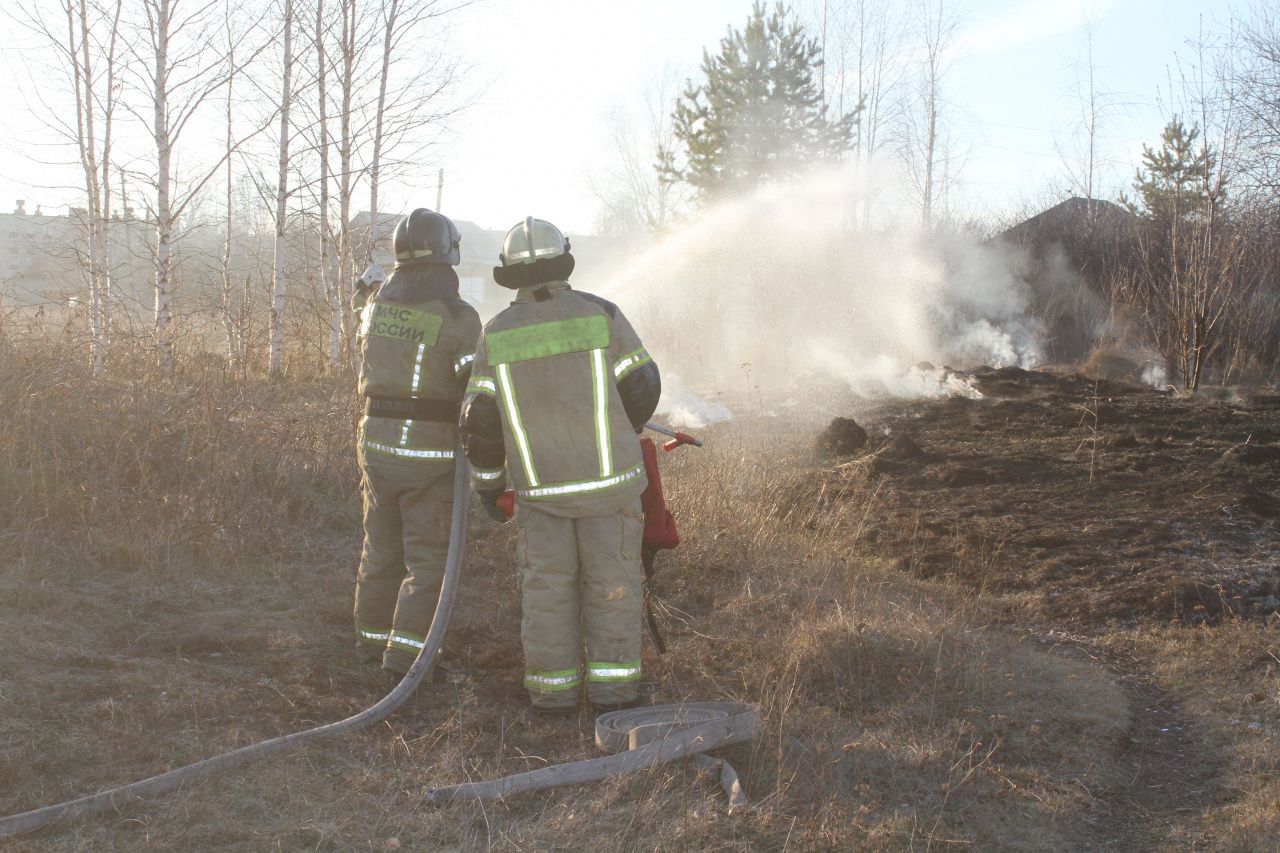 На выходных в Прибрежном горела сухая трава