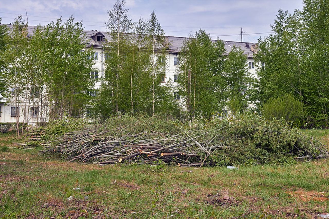 Зачем возле Пенсионного фонда срубили деревья?