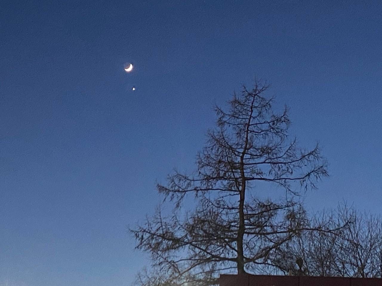 В ночь на 6 апреля можно будет наблюдать сближение на небе Марса и Луны