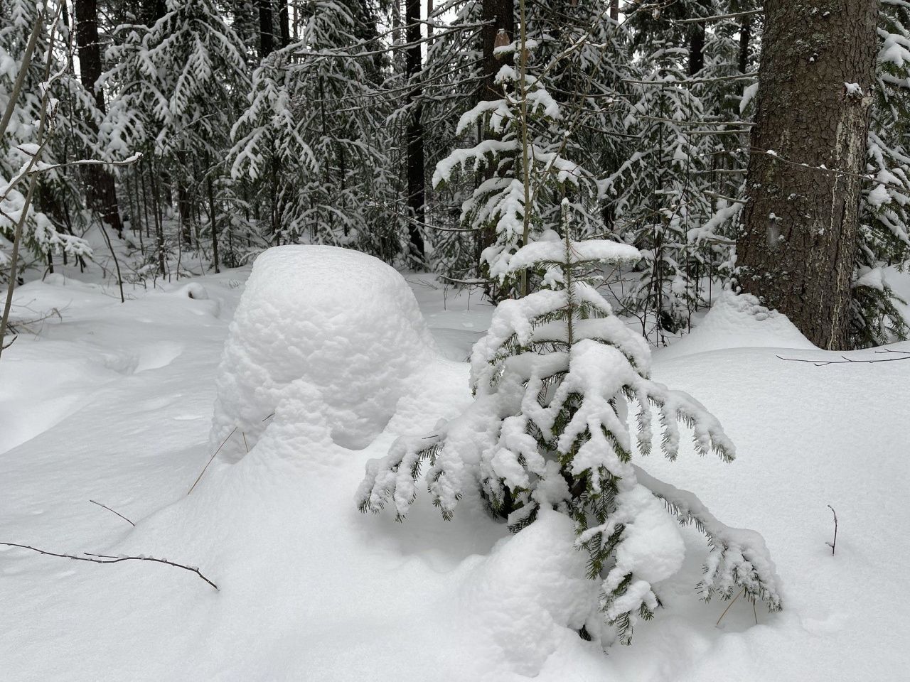 В середине февраля на севере области установится морозная погода