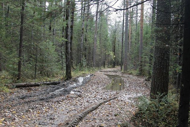 В Краснотурьинске совершил суицид молодой мужчина. Это третий случай за месяц