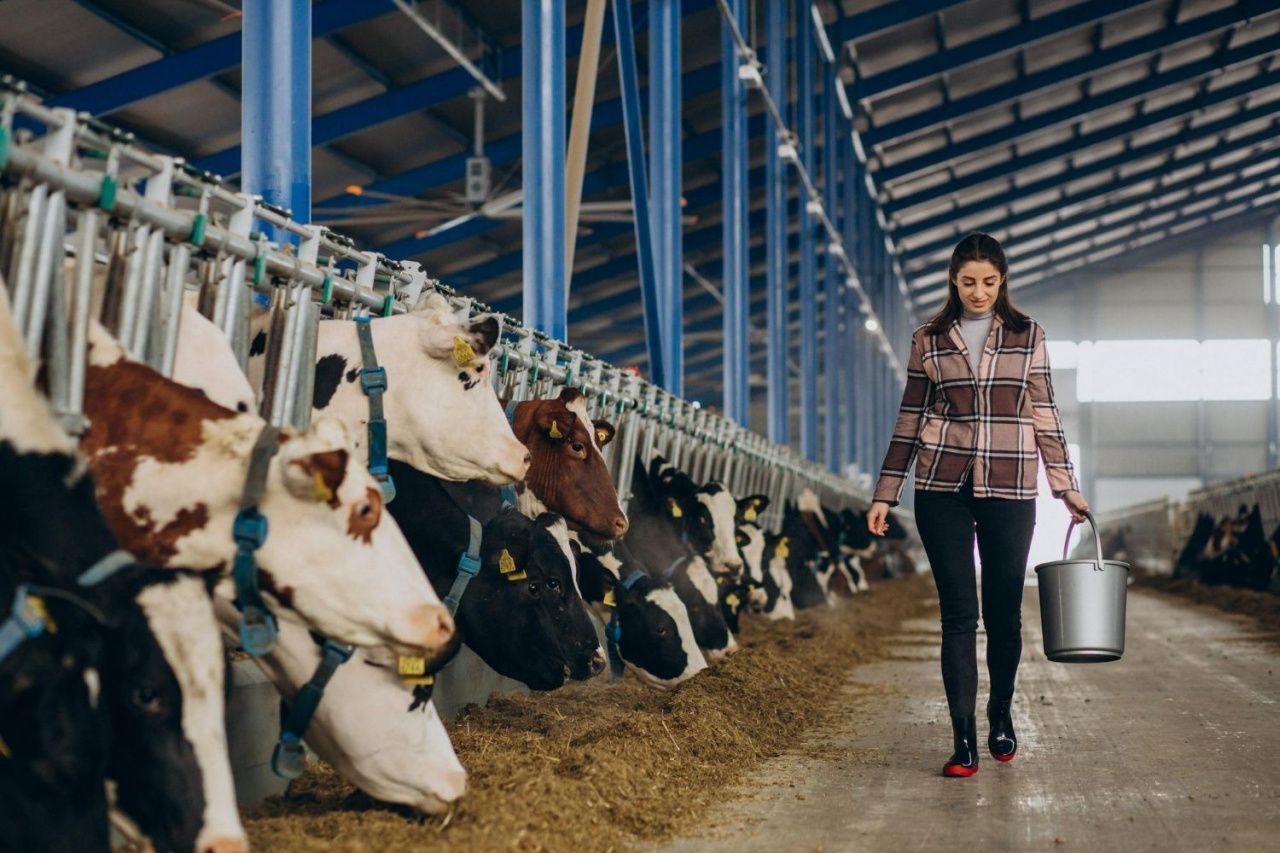 Какую работу предлагает центр занятости c 9 февраля 