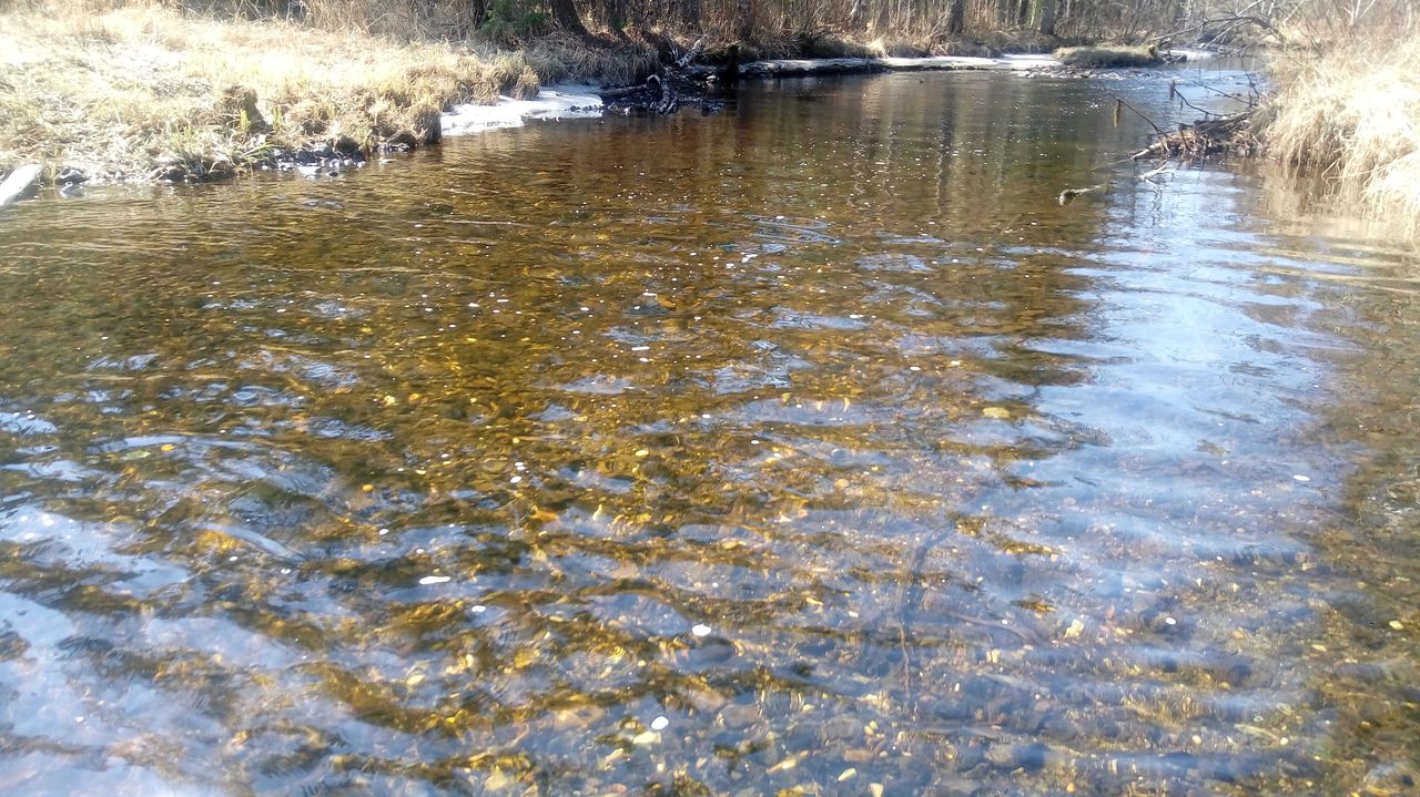 УГМК прокомментировала результаты анализов воды из Шегультана и Сосьвы