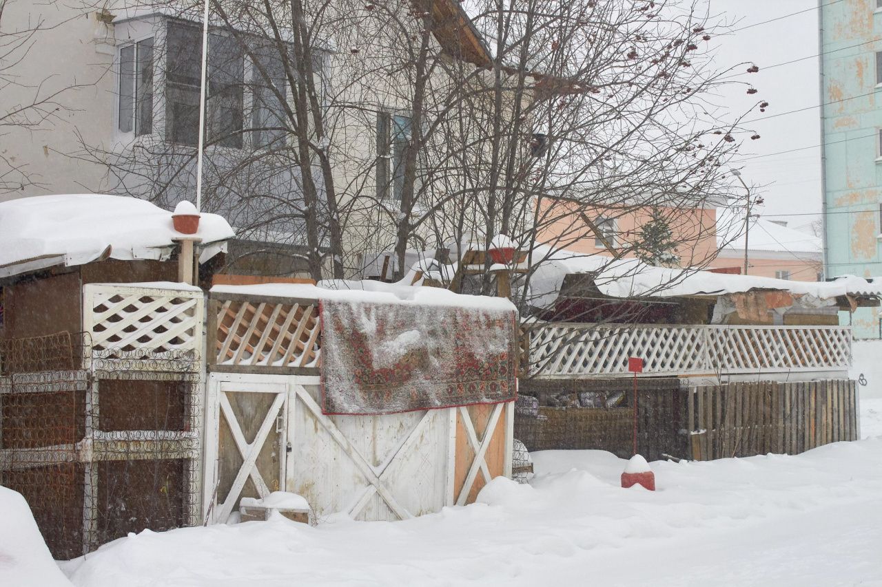 Щенки за досками: решение суда о сносе уперлось в закрытую дверь