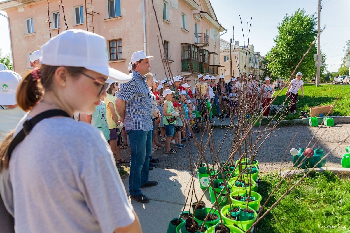 В центре Краснотурьинска высадили 90 яблонь 