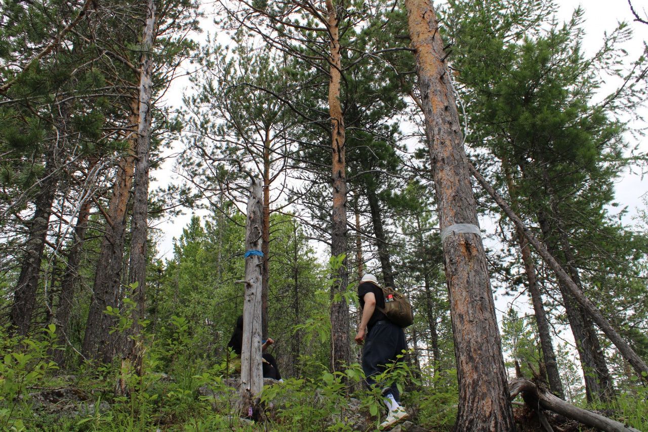 Жителей Краснотурьинска предупреждают о взрывных работах в конце октября