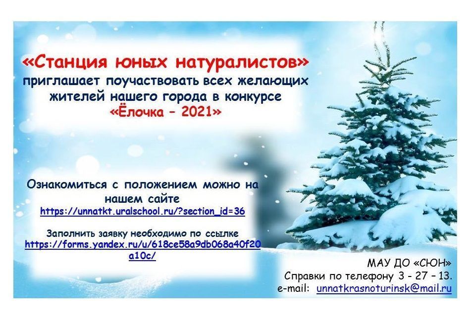 Краснотурьинцев приглашают принять участие в новогоднем конкурсе «Елочка – 2021»