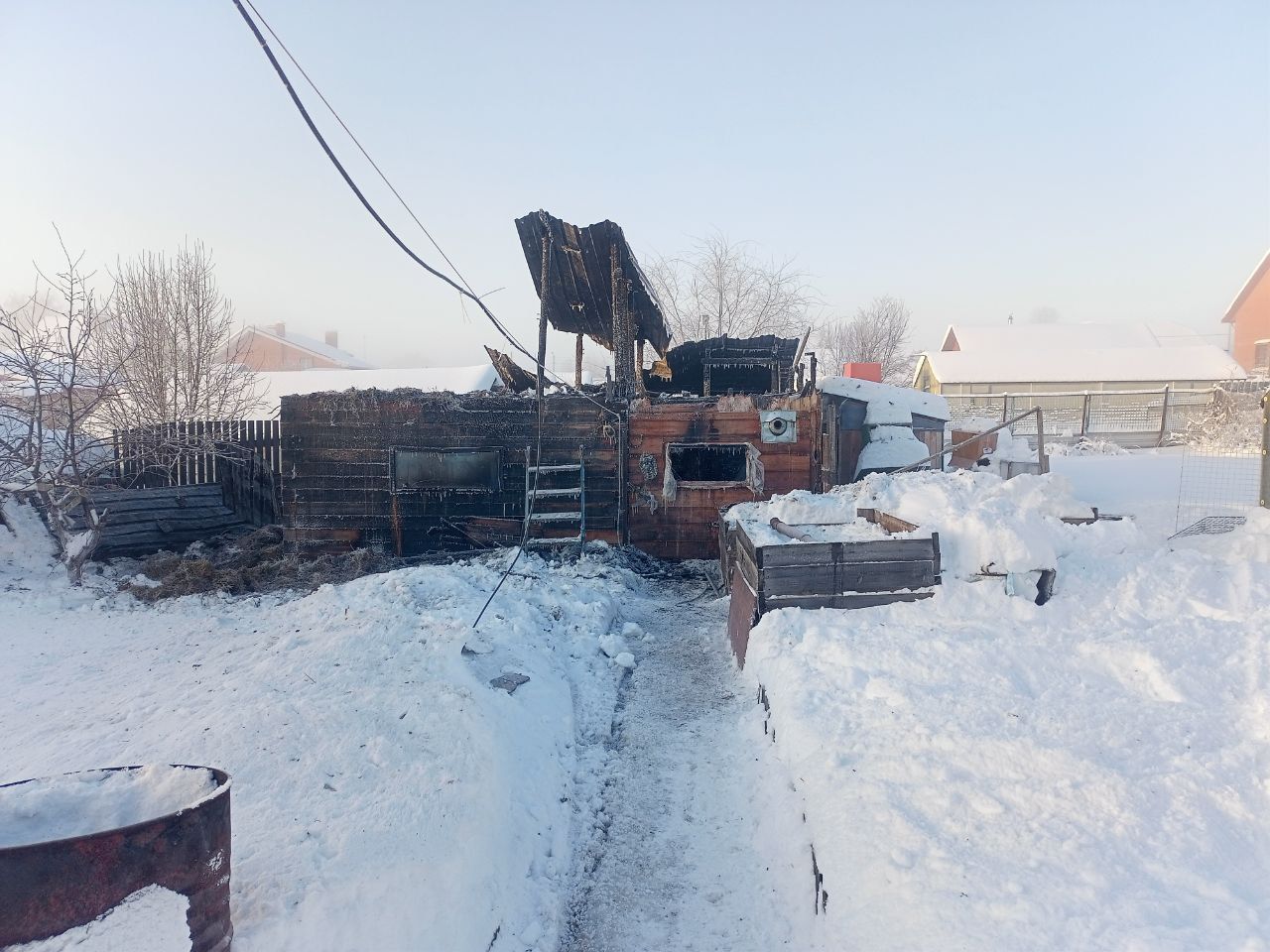 В Краснотурьинске пожар унес жизни свыше 180 птиц