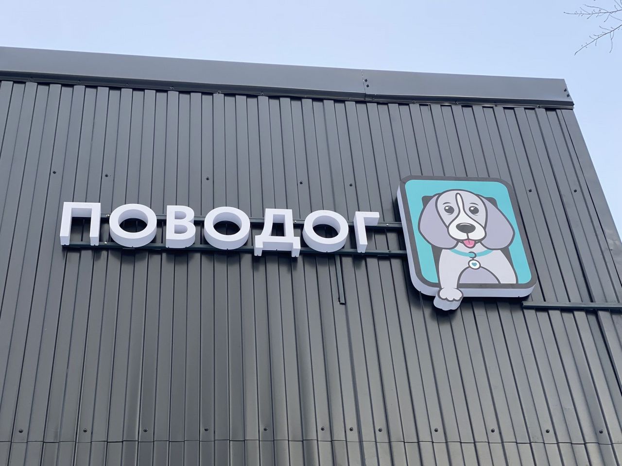 В Краснотурьинске открыли первый в России бесплатный ветеринарный центр. Что в нем есть