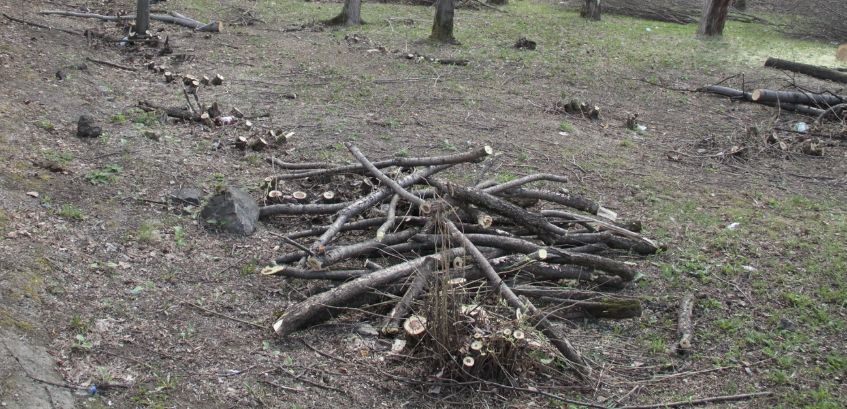 Горожан призвали привести участки в порядок