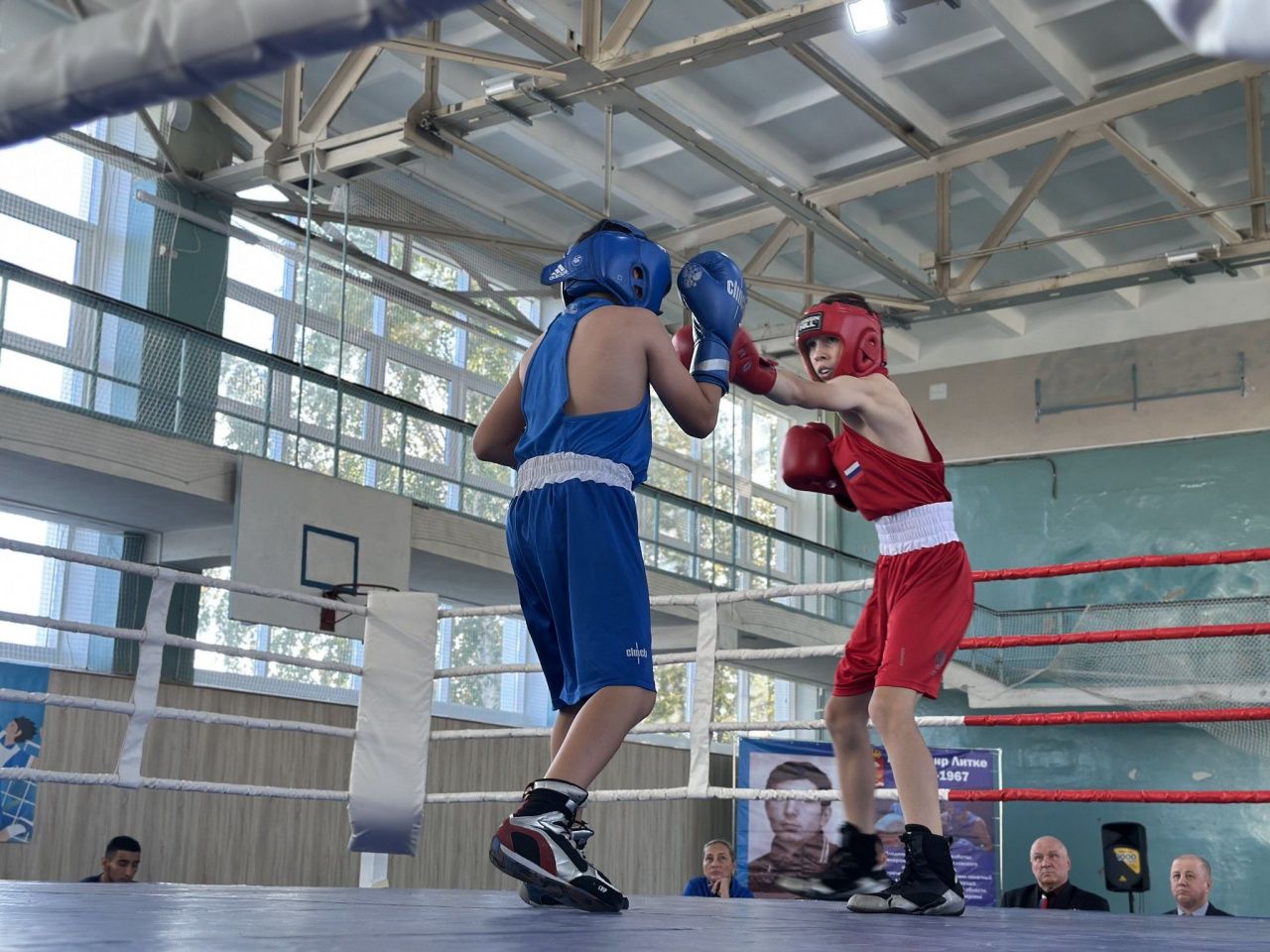 Завершился юбилейный турнир по боксу памяти Владимира Литке