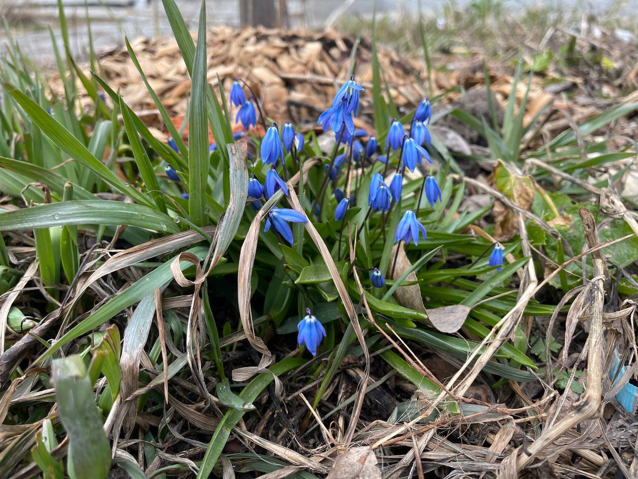 На севере области апрель закончится прохладной погодой