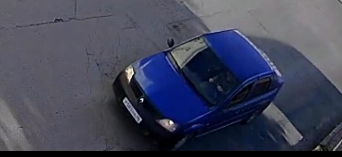 Горожанин хочет привлечь к ответственности водителя, задавившего его собаку Еву