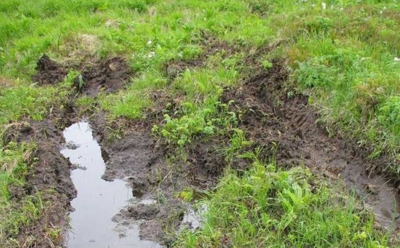 Блог. Александр Меркер: "Быть экотуризму в заповедниках или не быть?"