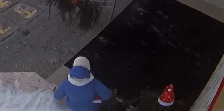 Горожанка украла новогодний колпак с елочки у музшколы. И попала на видео