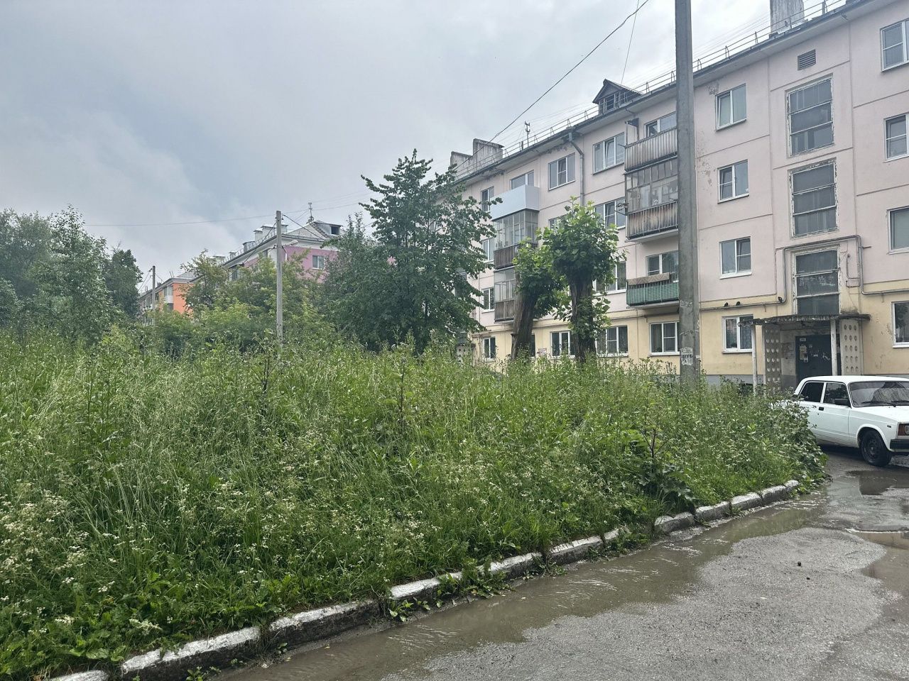 Трава в рост человека, разваливающиеся скамейки. Читатель называет «забытым» двор по Базстроевской